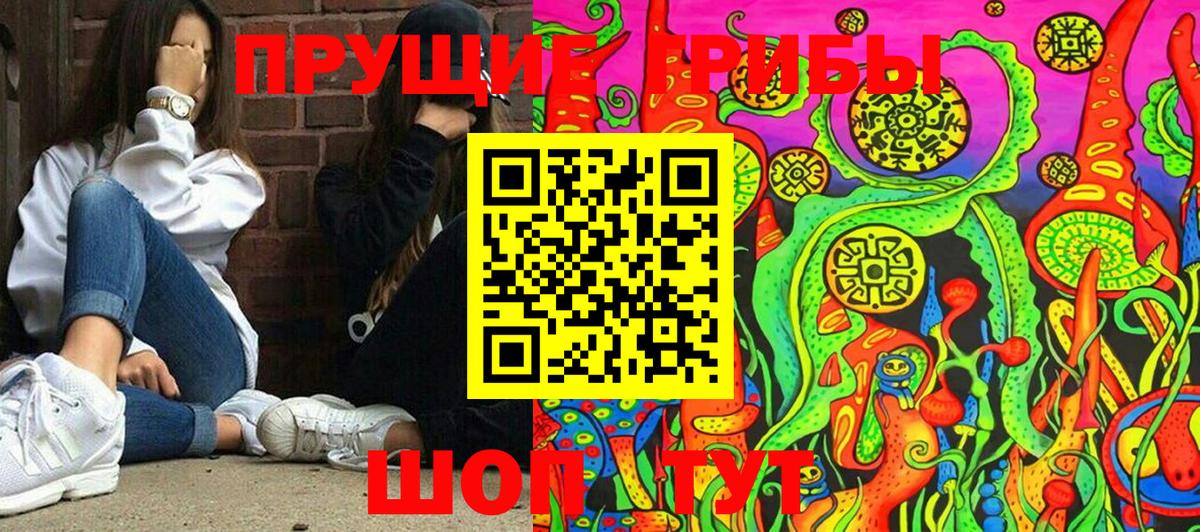 Гусь-Хрустальный  Псилоцибиновые грибы Psilocybine cubensis  Вход с VPN 
